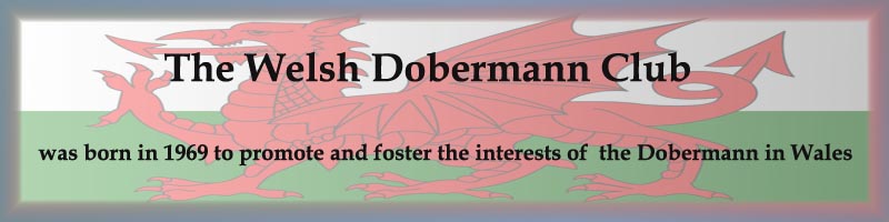 The Welsh Dobermann Club